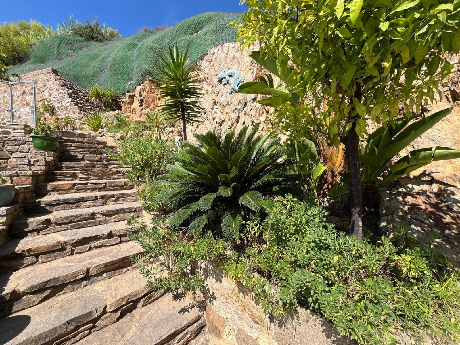 Meuble Tourisme 4*, Les Pieds Dans L'Eau, Villa Las Palmeras Ла Лонд-ле-Мор Екстериор снимка